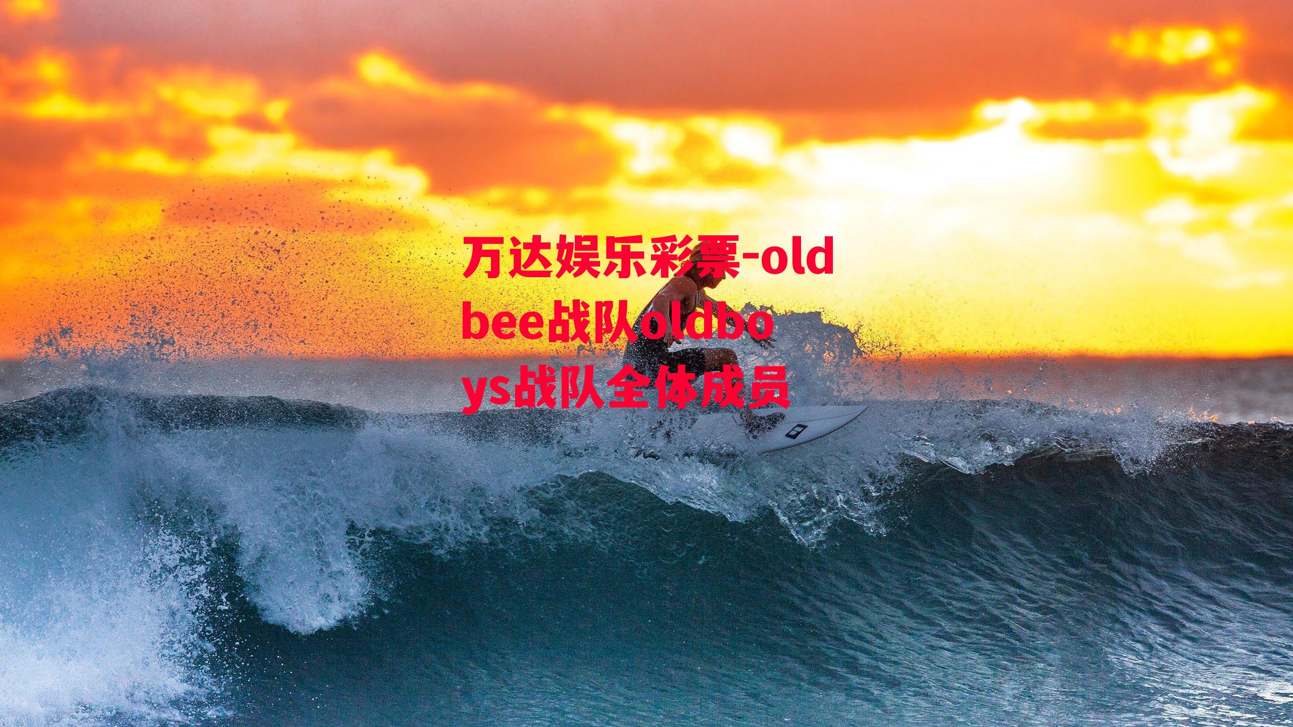 oldbee战队oldboys战队全体成员